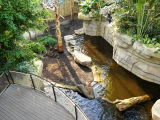 Alwetterzoo Münster Alwetterzoo Münster