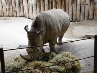 Alwetterzoo Münster Alwetterzoo Münster