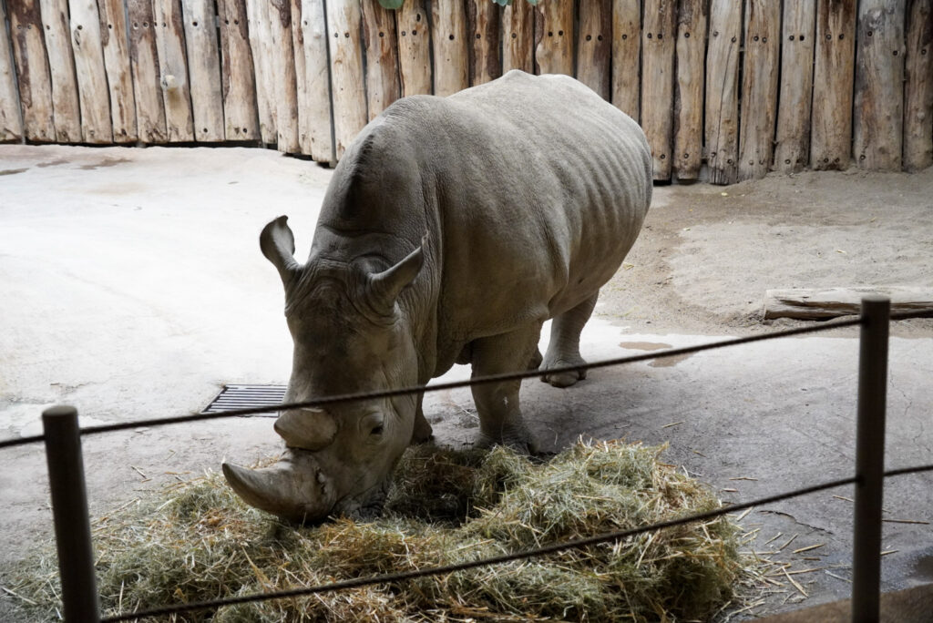 Alwetterzoo Münster Alwetterzoo Münster
