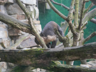 Alwetterzoo Münster Alwetterzoo Münster
