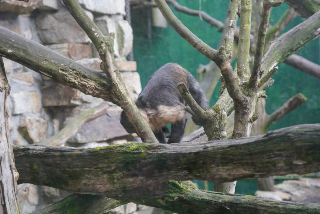 Alwetterzoo Münster Alwetterzoo Münster