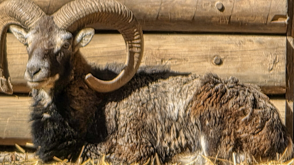 Br&uuml;ckenkopfpark J&uuml;lich