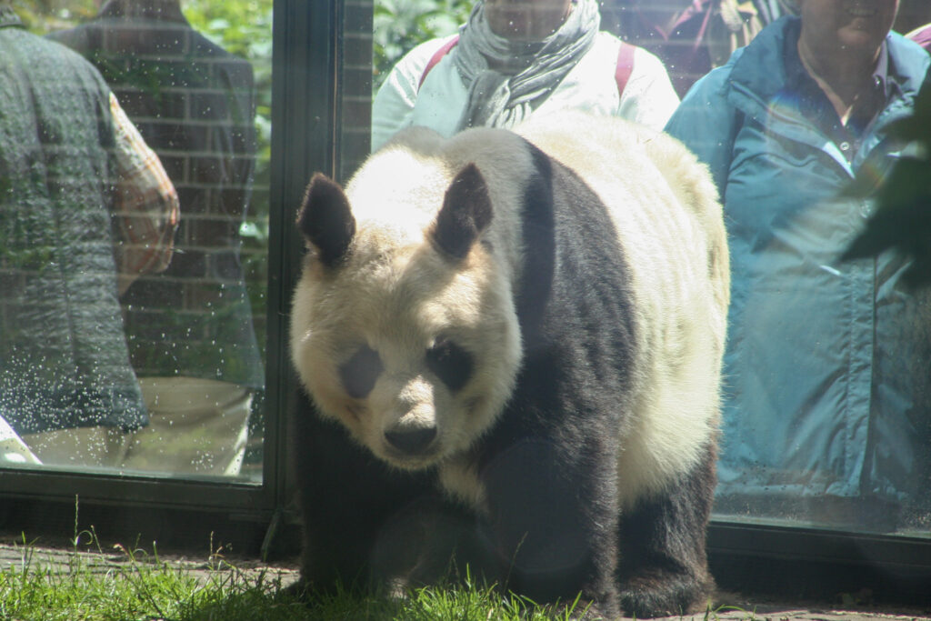 Berliner Zoo