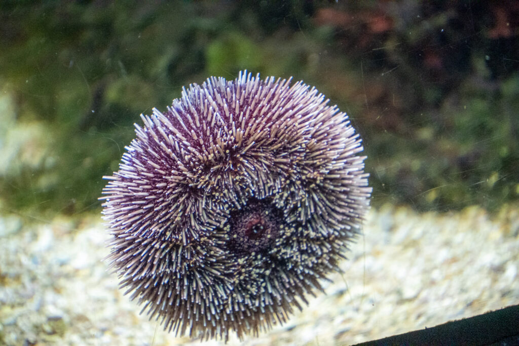 Aquazoo L&ouml;bbecke Museum D&uuml;sseldorf