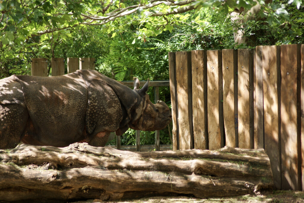 Berliner Zoo