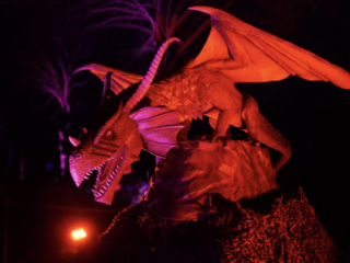 Drachenlichter im Br&uuml;ckenkopfpark J&uuml;lich