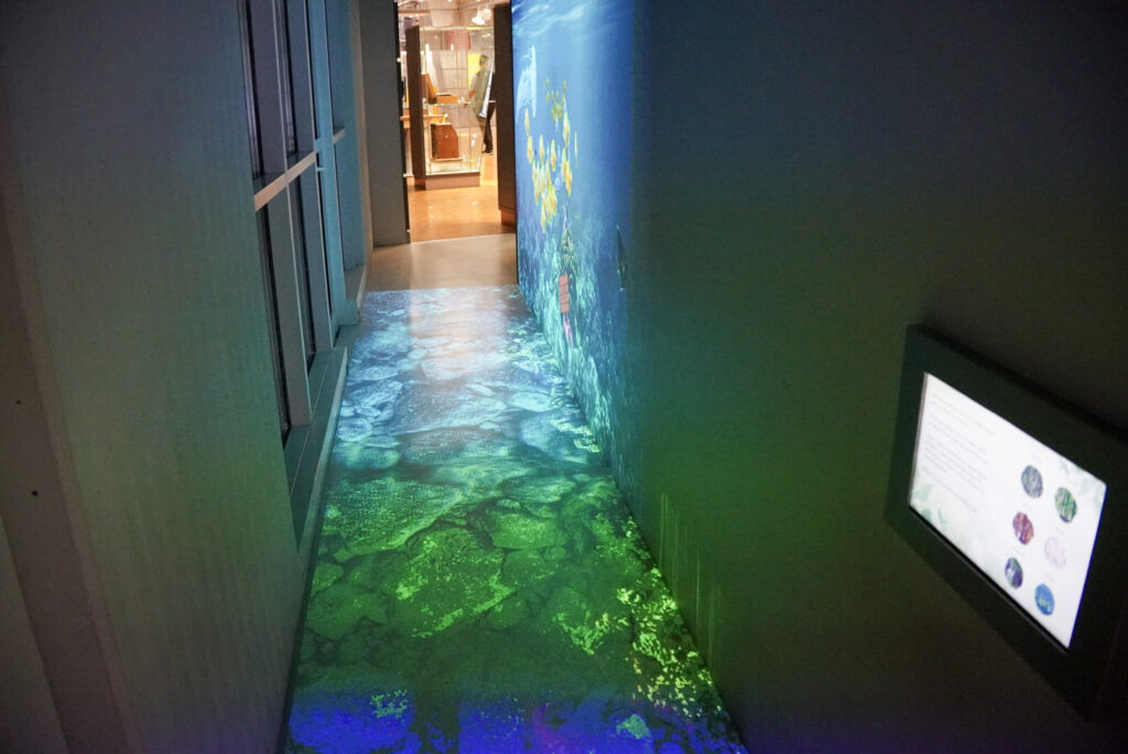 DASA Arbeitswelt Ausstellung