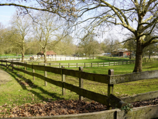 Grugapark Essen