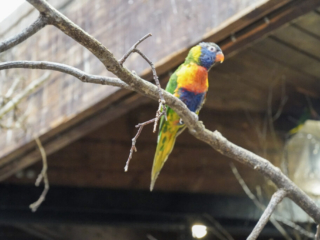 Alwetterzoo Münster Alwetterzoo Münster