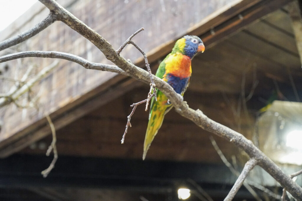 Alwetterzoo Münster Alwetterzoo Münster