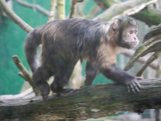 Alwetterzoo Münster Alwetterzoo Münster