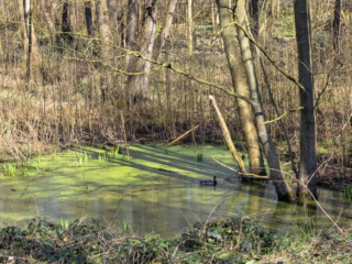 Br&uuml;ckenkopfpark J&uuml;lich