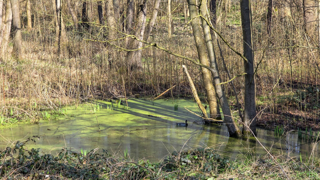 Br&uuml;ckenkopfpark J&uuml;lich