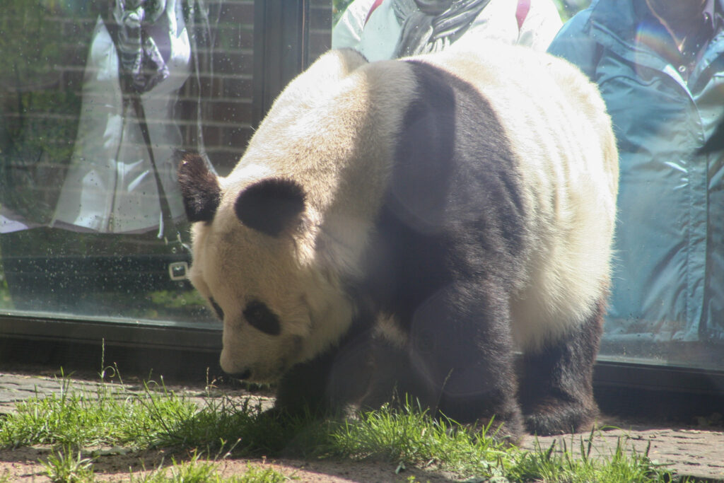 Berliner Zoo