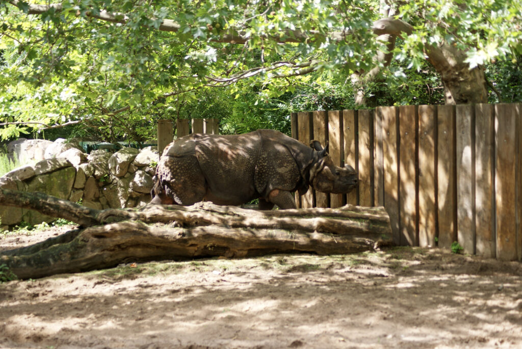 Berliner Zoo