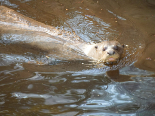 Alwetterzoo Münster Alwetterzoo Münster