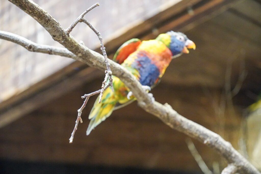 Alwetterzoo Münster Alwetterzoo Münster