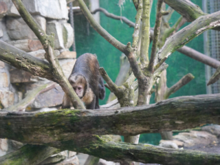 Alwetterzoo Münster Alwetterzoo Münster