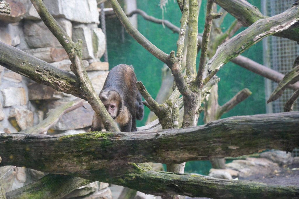 Alwetterzoo Münster Alwetterzoo Münster