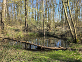 Br&uuml;ckenkopfpark J&uuml;lich