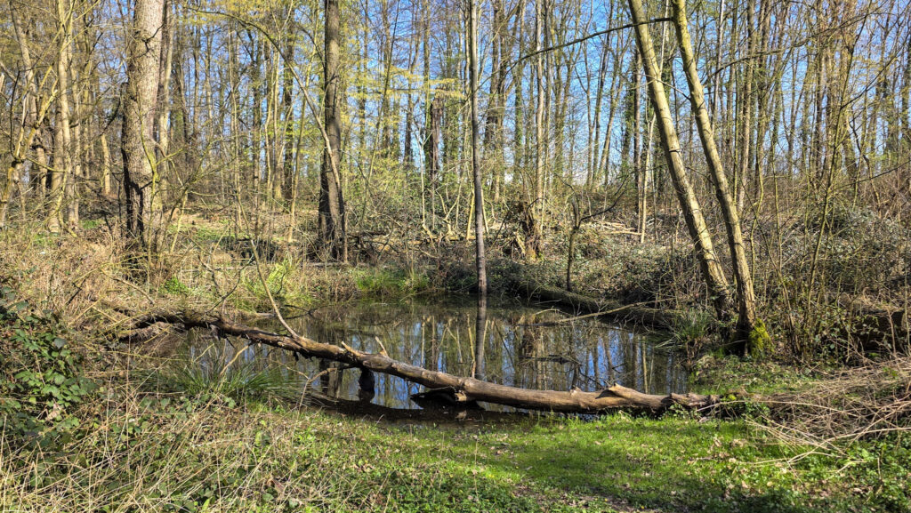 Br&uuml;ckenkopfpark J&uuml;lich