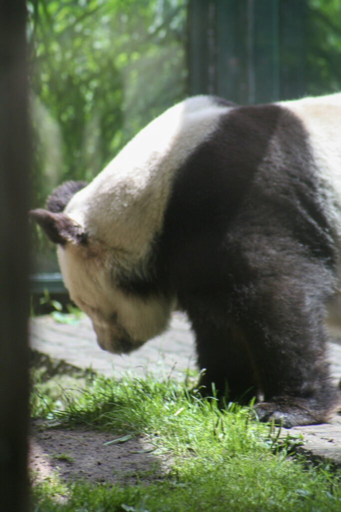 Berliner Zoo
