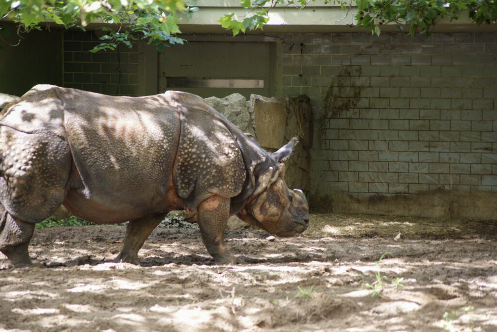 Berliner Zoo