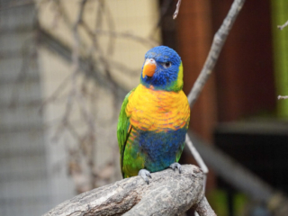 Alwetterzoo Münster Alwetterzoo Münster