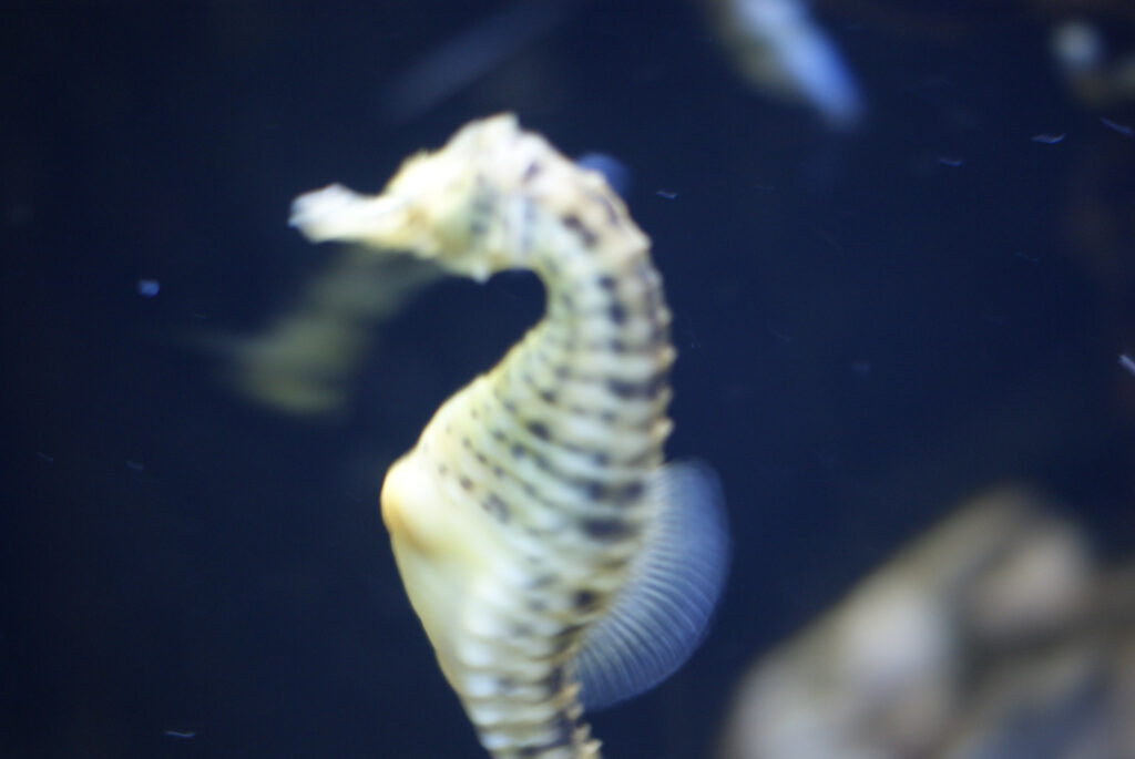 Berliner Zoo