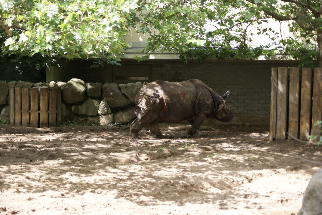 Berliner Zoo