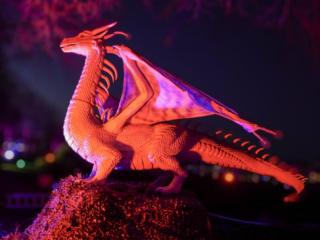 Drachenlichter im Br&uuml;ckenkopfpark J&uuml;lich