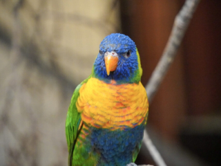 Alwetterzoo Münster Alwetterzoo Münster