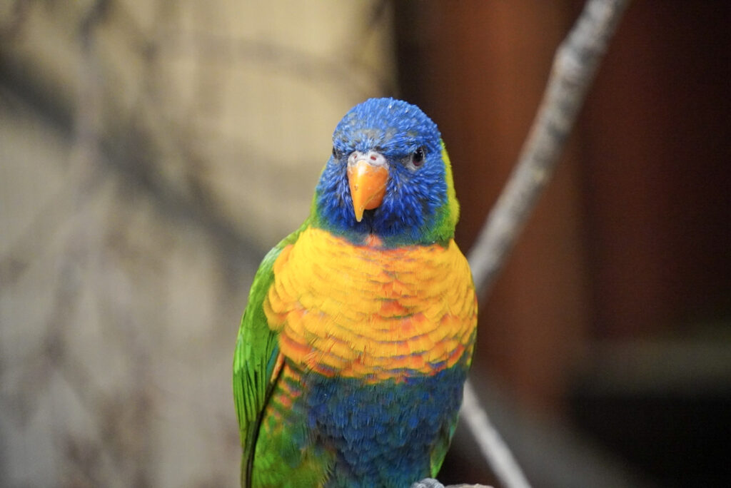 Alwetterzoo Münster Alwetterzoo Münster