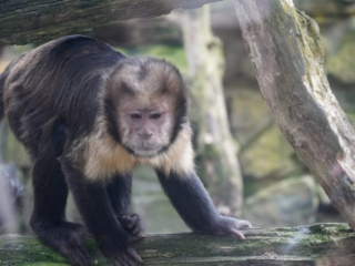 Alwetterzoo Münster Alwetterzoo Münster