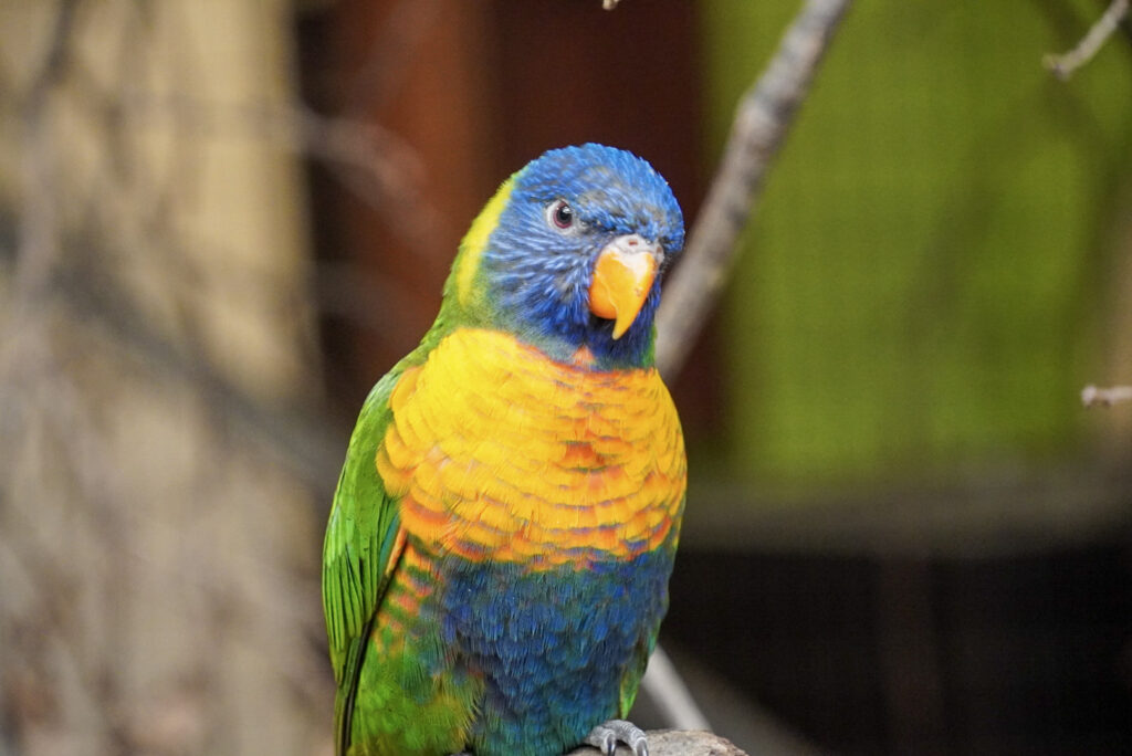 Alwetterzoo Münster Alwetterzoo Münster