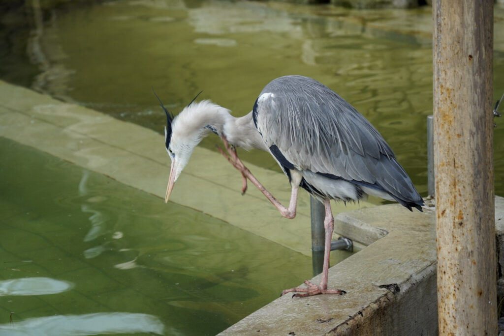 Alwetterzoo Münster Alwetterzoo Münster