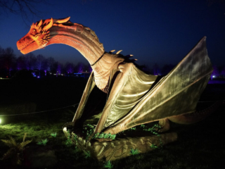 Drachenlichter im Br&uuml;ckenkopfpark J&uuml;lich