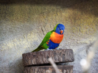 Alwetterzoo Münster Alwetterzoo Münster