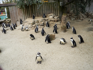Alwetterzoo Münster Alwetterzoo Münster