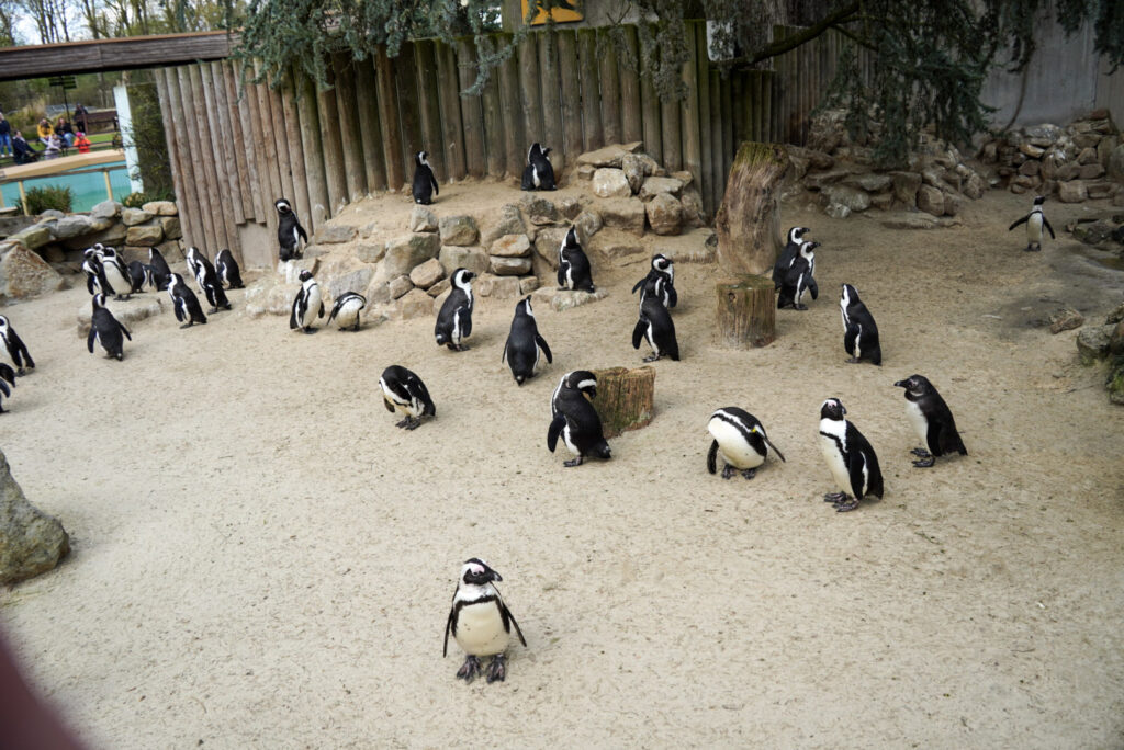 Alwetterzoo Münster Alwetterzoo Münster