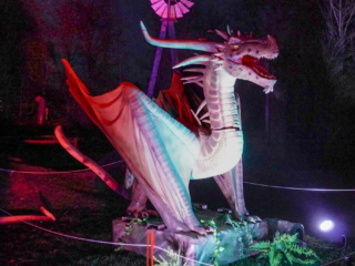 Drachenlichter im Br&uuml;ckenkopfpark J&uuml;lich