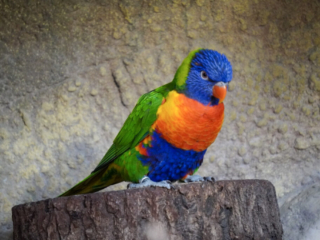 Alwetterzoo Münster Alwetterzoo Münster