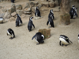 Alwetterzoo Münster Alwetterzoo Münster