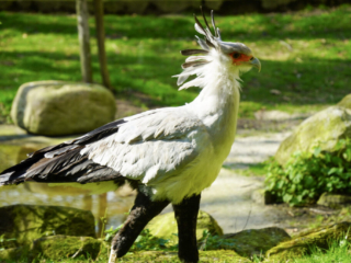 Alwetterzoo Münster Alwetterzoo Münster