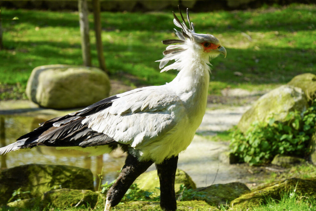 Alwetterzoo Münster Alwetterzoo Münster