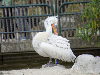 Alwetterzoo Münster Alwetterzoo Münster
