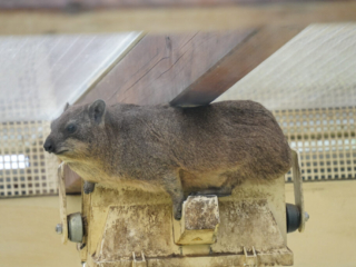 Alwetterzoo Münster Alwetterzoo Münster