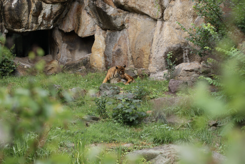 Berliner Zoo