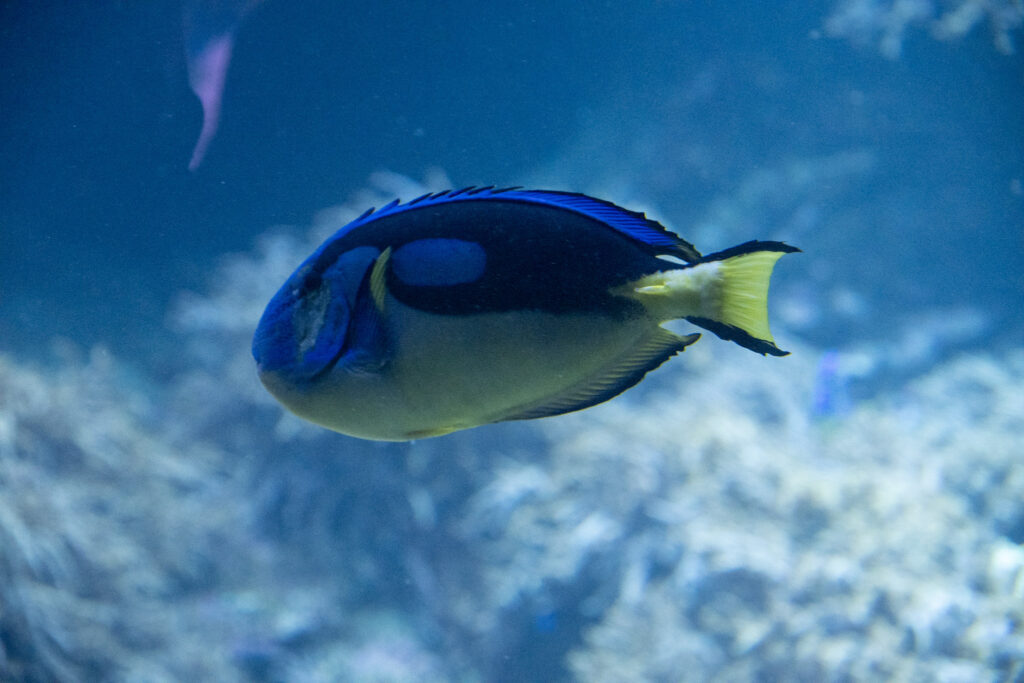 Aquazoo L&ouml;bbecke Museum D&uuml;sseldorf