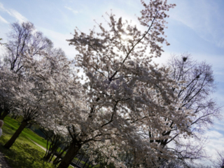 Grugapark Essen